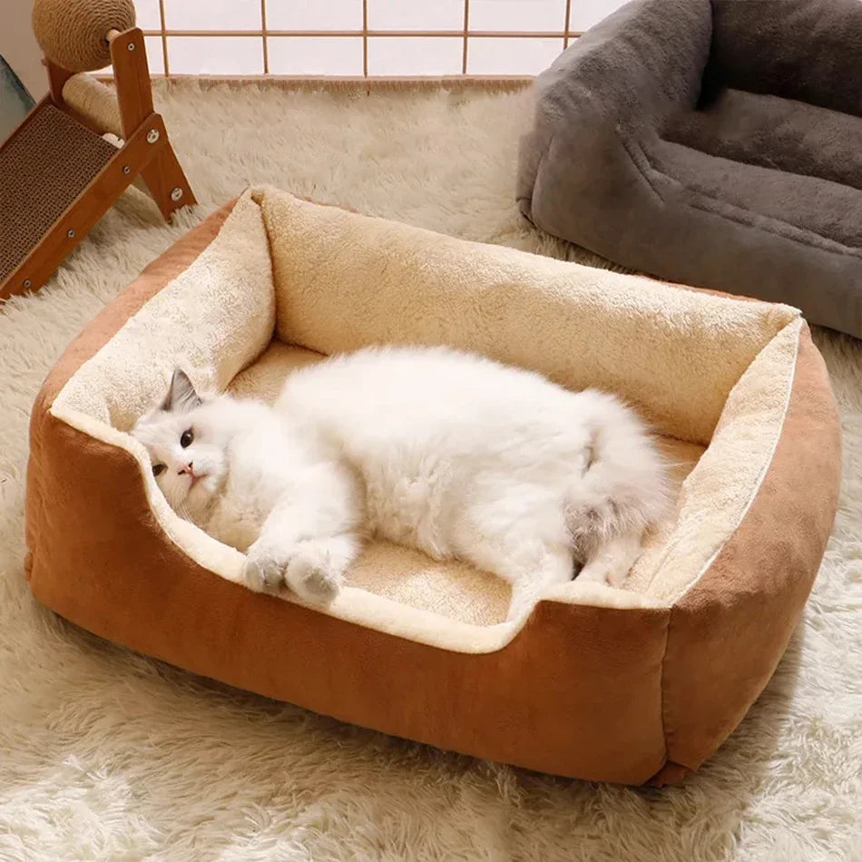 MewBed